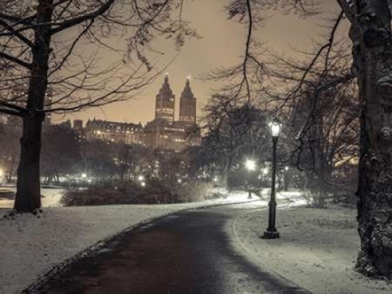 Path in cental park at night, winter, snow, New York. Poster Print by Assaf Frank - Item # VARPDXFTBR1769